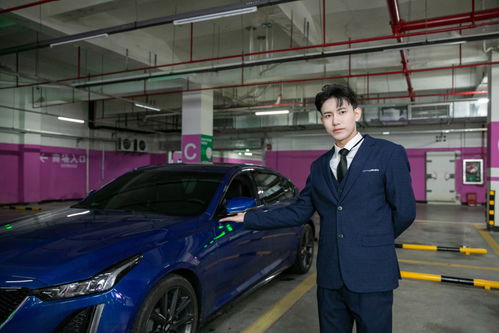 商务车豪车汽车销售人物摄影图 摄影